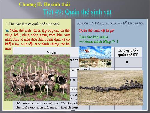 Bài 47. Quần thể sinh vật