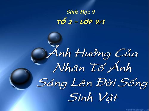 Bài 42. Ảnh hưởng của ánh sáng lên đời sống sinh vật