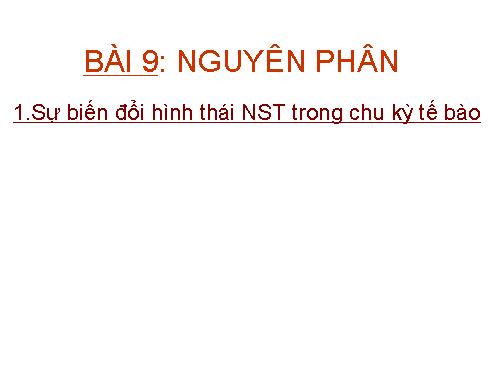 Bài 9. Nguyên phân