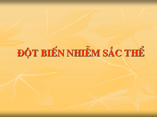 Bài 22. Đột biến cấu trúc nhiễm sắc thể