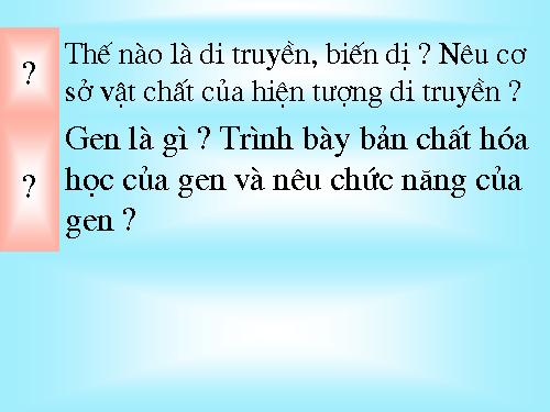 Bài 21. Đột biến gen