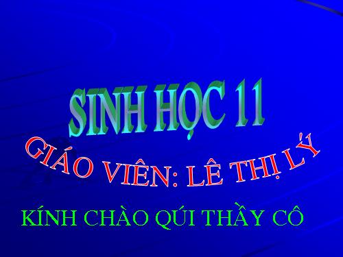 Tổng hợp Prôtêin