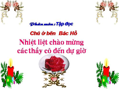 Tuần 20. Chú ở bên Bác Hồ