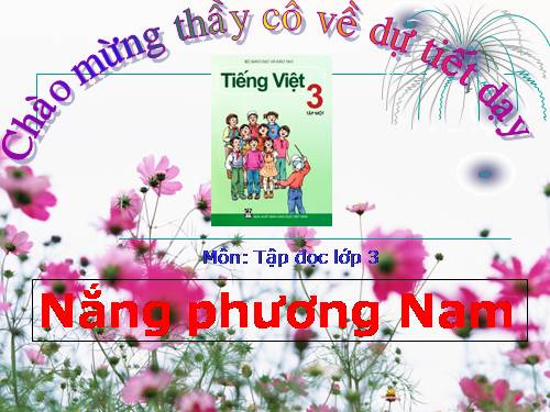 Tuần 12. Nắng phương Nam