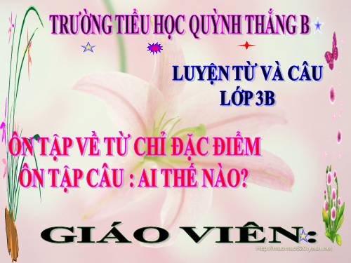 Tuần 14. Ôn tập về từ chỉ đặc điểm. Ôn tập câu Ai thế nào?