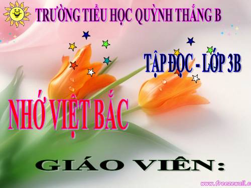 Tuần 14. Nhớ Việt Bắc