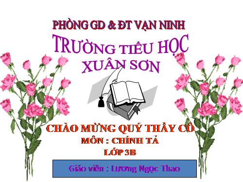 Tuần 28. Cuộc chạy đua trong rừng