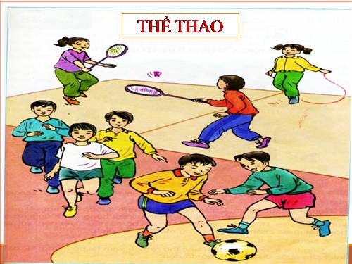 Tuần 28. Cuộc chạy đua trong rừng