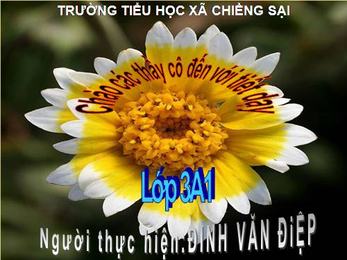 Tuần 28. Cùng vui chơi