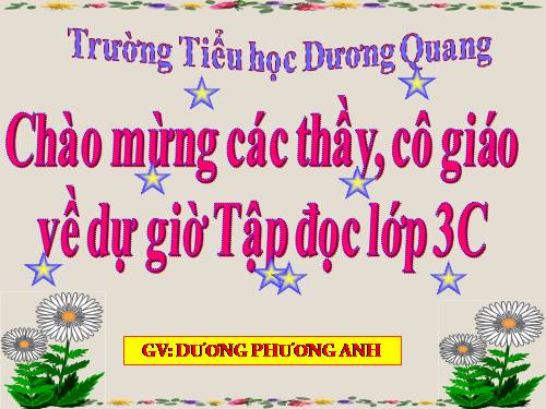 Tuần 13. Cửa Tùng