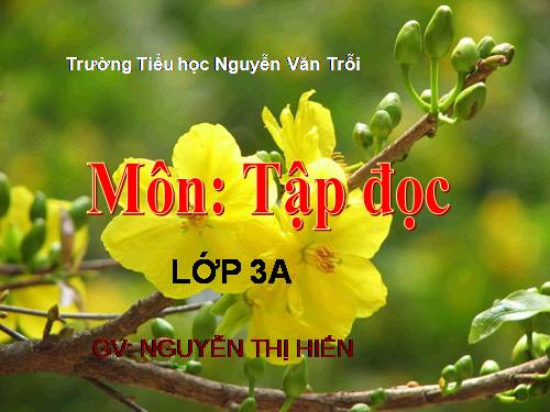 Tuần 22. Cái cầu