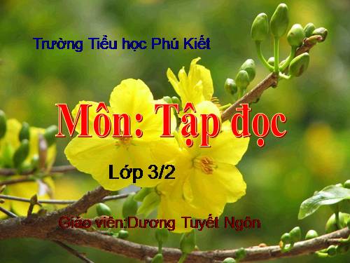 Tuần 22. Cái cầu