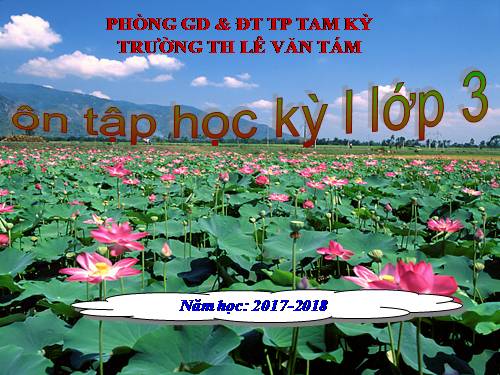 Tuần 18. Ôn tập Cuối Học kì I