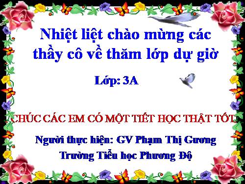 Tuần 24. Đối đáp với vua