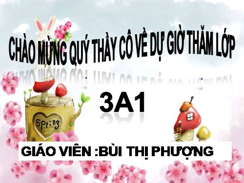 Tuần 16. Về quê ngoại