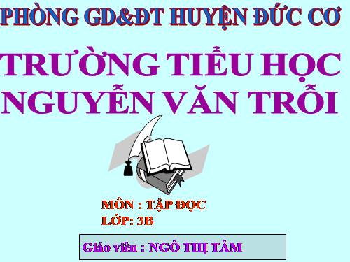 Tuần 13. Cửa Tùng