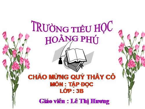 Tuần 13. Cửa Tùng