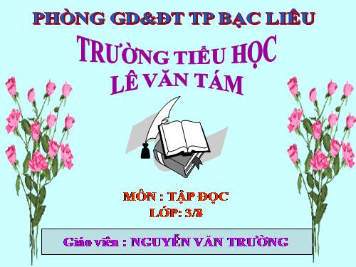 Tuần 13. Cửa Tùng