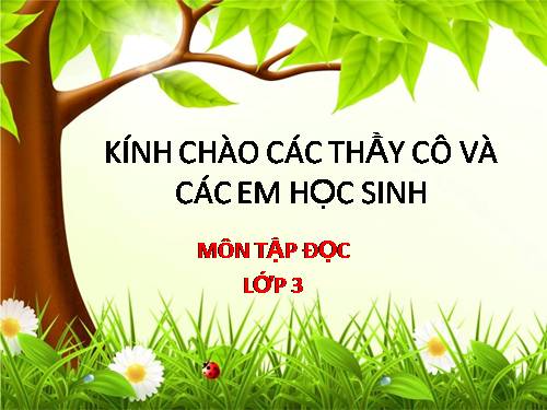 Tuần 6. Nhớ lại buổi đầu đi học