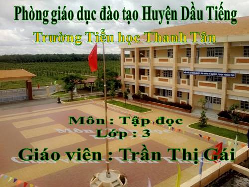 Tuần 5. Cuộc họp của chữ viết