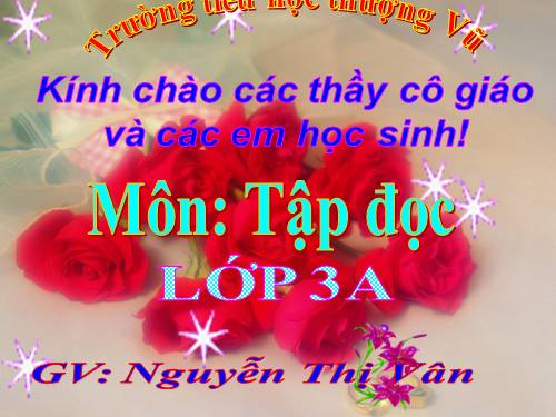 Tuần 3. Chiếc áo len