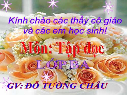 Tuần 4. Người mẹ