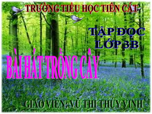 Tuần 31. Bài hát trồng cây