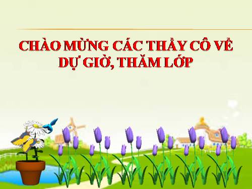 Tuần 28. Cùng vui chơi