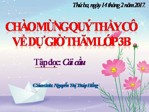 Tuần 22. Cái cầu