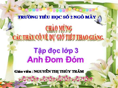 Tuần 17. Anh Đom Đóm