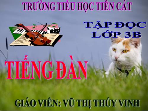 Tuần 24. Tiếng đàn