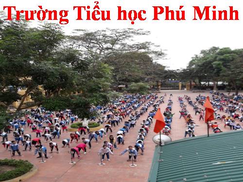 Tuần 23. Chương trình xiếc đặc sắc