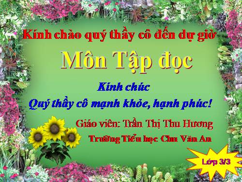 Tuần 8. Các em nhỏ và cụ già