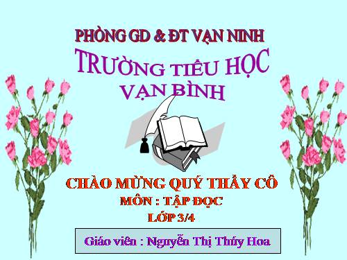 Tuần 13. Cửa Tùng