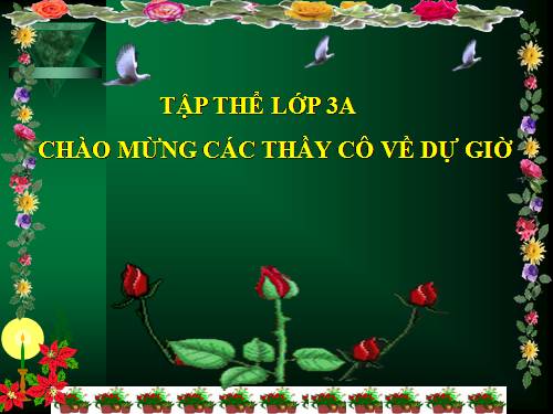 Tuần 13. Cửa Tùng