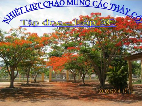 Tuần 16. Về quê ngoại