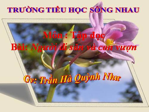 Tuần 32. Người đi săn và con vượn