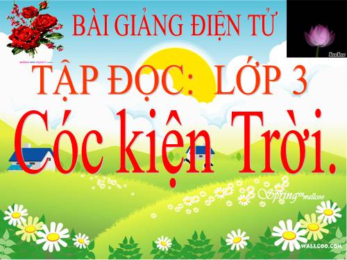 Tuần 33. Cóc kiện Trời