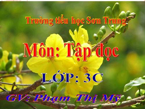 Tuần 22. Cái cầu