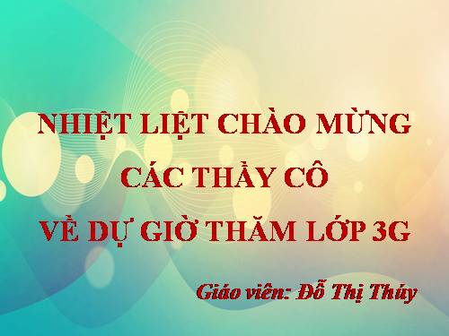 Tuần 33. Mặt trời xanh của tôi