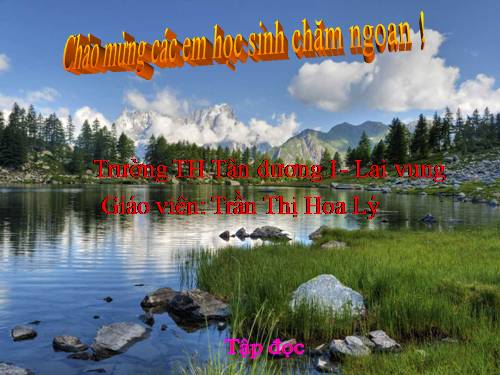 Tuần 20. Ở lại với chiến khu
