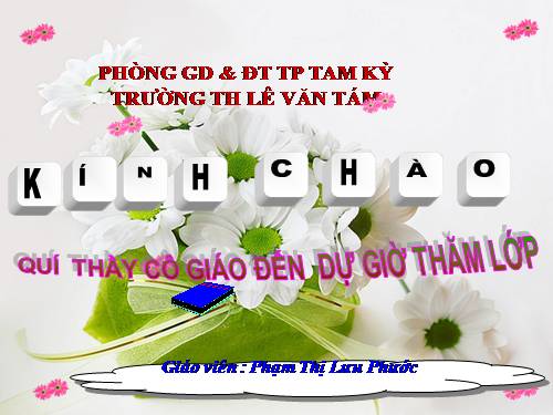 Tuần 13. Cửa Tùng