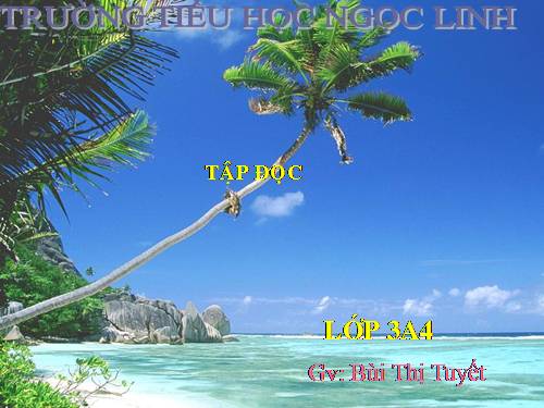 Tuần 13. Cửa Tùng