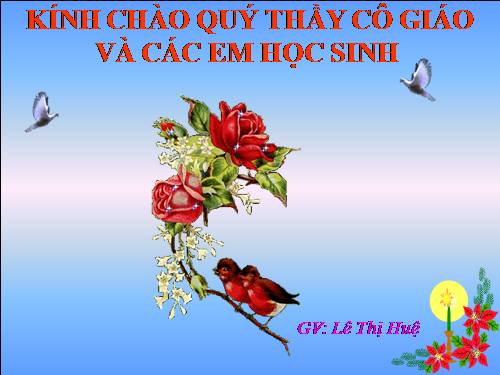 Tuần 16. Về quê ngoại