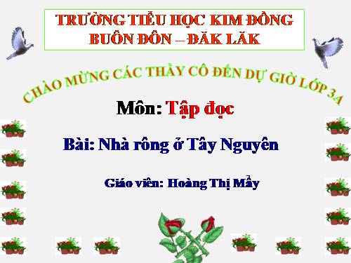 Tuần 15. Nhà rông ở Tây Nguyên