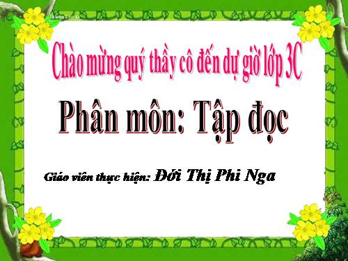 Tuần 13. Cửa Tùng