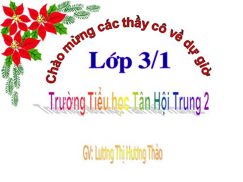 Tuần 2. Ai có lỗi?