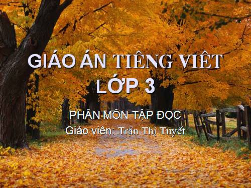 Tuần 6. Nhớ lại buổi đầu đi học