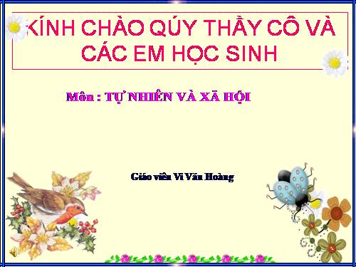 Tuần 15. Nhà rông ở Tây Nguyên