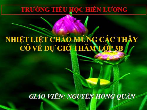 Tuần 33. Mặt trời xanh của tôi